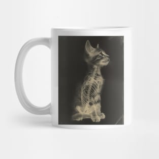 CAT Scan Mug